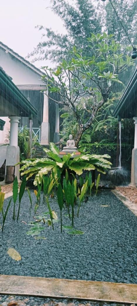 Jansen'S Bungalow Sinharaja Rainforest Retreat Kudawe Exterior photo
